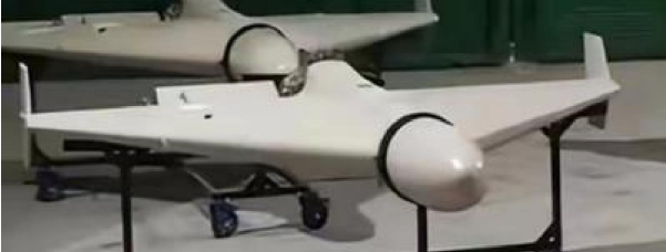 "Mini-motor " , suicide drone